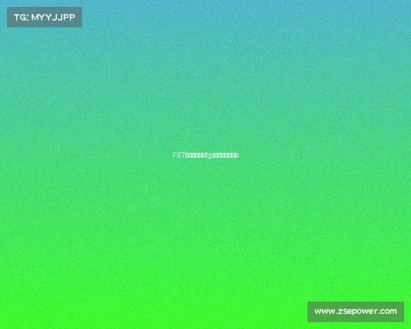 FST国际球赛赛事fgs国际邀请赛回放